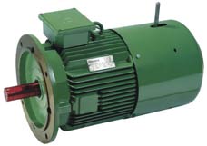 FLANGE TYPE CRANE DUTY BRAKE MOTOR