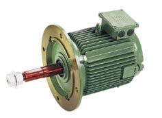 Cooling Tower Electric Motor